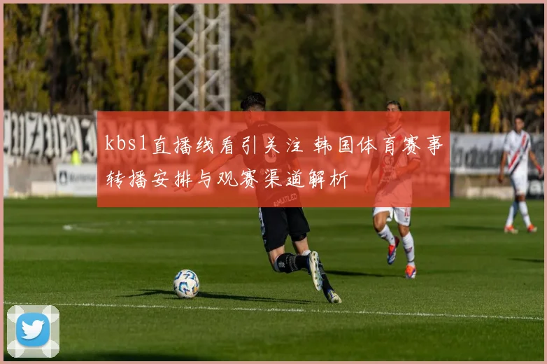 kbs1直播线看引关注 韩国体育赛事转播安排与观赛渠道解析