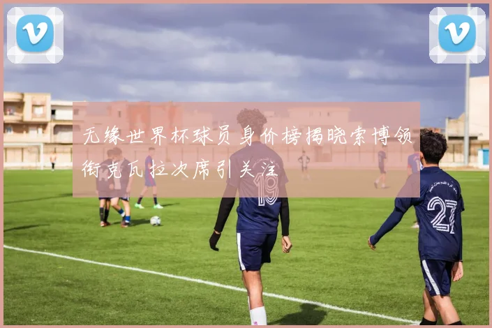 无缘世界杯球员身价榜揭晓索博领衔克瓦拉次席引关注