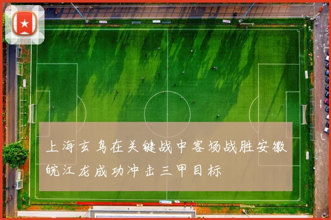 上海玄鸟在关键战中客场战胜安徽皖江龙成功冲击三甲目标