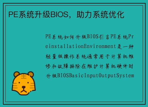 PE系统升级BIOS，助力系统优化